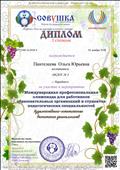 Диплом 1 степени в Международной профессиональной олимпиаде для работников образовательных организаций и студентов педагогических специальностей. Художественно - эстетическое воспитание дошкольников. 2018